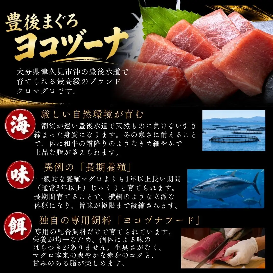 マグロ【生】マグロの中トロ(生) 500g ※離島配送不可※