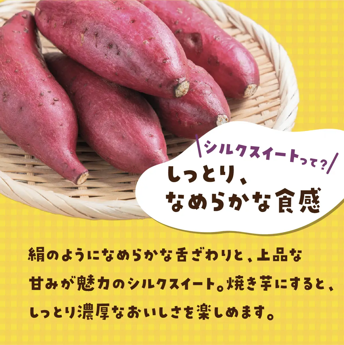 【訳あり】洗いさつまいも(無選別) 10kg 茨城県ひたちなか市産 | 新物 シルクスイート しるくすいーと