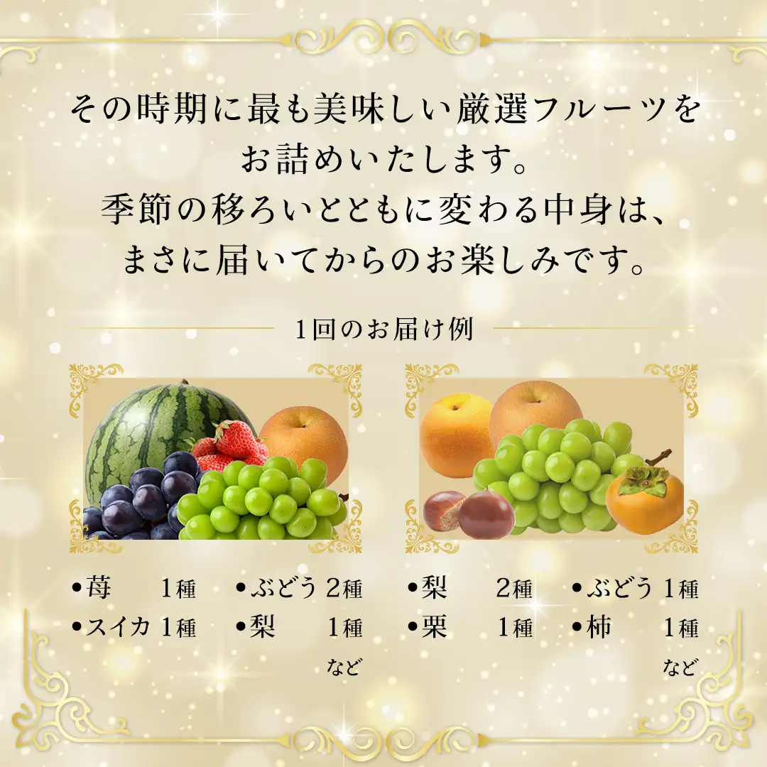 【化粧箱入り1段】厳選フルーツ 5〜7種プレミアムセット（茨城県共通返礼品） 贅沢 旬の果物 ギフト 贈り物