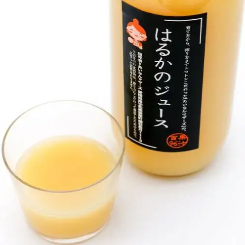 果汁100% ストレートジュース はるかジュース 河内晩柑ジュース 各1本 計2本 セット (1000ml×2本) 7000円 数量限定 期間限定 高級 贈答 ギフト プレゼント 母の日 おやつ 国産 フルーツ 果物 柑橘 産地直送 農家直送 特産品 完熟 濃厚 人気 限定 甘い こどもの日 ジューシー 新鮮 果実 さわやか 愛媛県 愛南町 あいなんマザーズ 