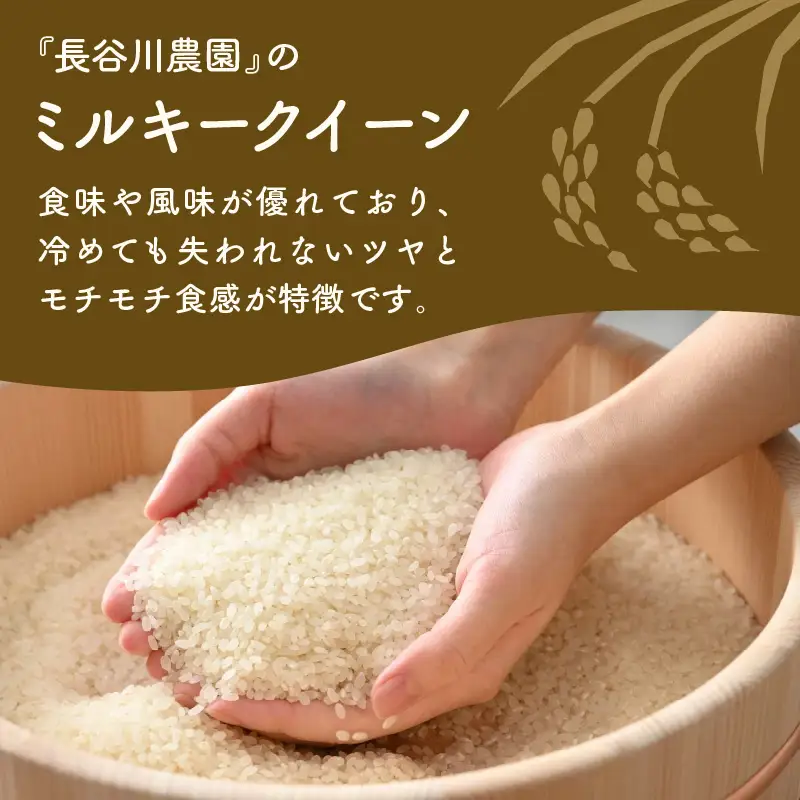 【先行予約】【令和8年産】定期便《3ヶ月連続お届け》ミルキークイーン 精米 5kg（計15kg） ＜低農薬栽培＞ ／ 高品質 鮮度抜群 福井県あわら市産 白米 お米 米 ※2026年10月中旬より順次発送 [aw066-b003]