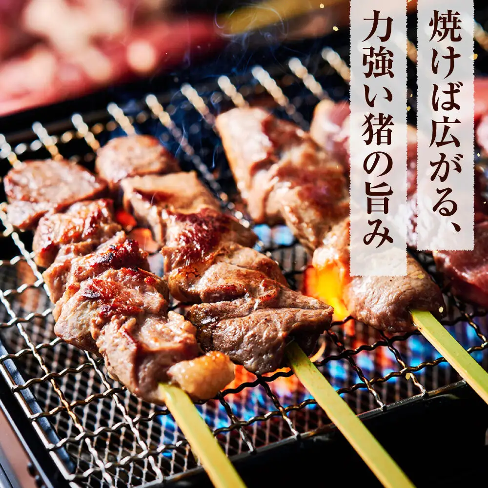 【晩酌にも！】 猪肉串　10本 【猪肉 ジビエ 焼肉用 BBQ 焼き鳥 晩酌 おつまみ ホームパーティー 人気 おすすめ 神奈川県 小田原市】