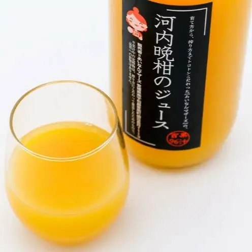 果汁100% ストレートジュース 河内晩柑ジュース 6本 セット (1000ml×6本) 14000円 数量限定 期間限定 高級 贈答 ギフト プレゼント 母の日 おやつ 国産 フルーツ 果物 柑橘 産地直送 農家直送 特産品 完熟 濃厚 人気 限定 甘い こどもの日 ジューシー 新鮮 果実 さわやか 愛媛県 愛南町 あいなんマザーズ 