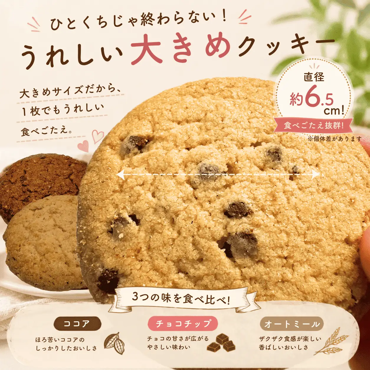 クッキー詰め合わせ 3種 30枚（5枚入×6袋）｜オートミール・ココア・チョコチップ 食べ比べ (10189)