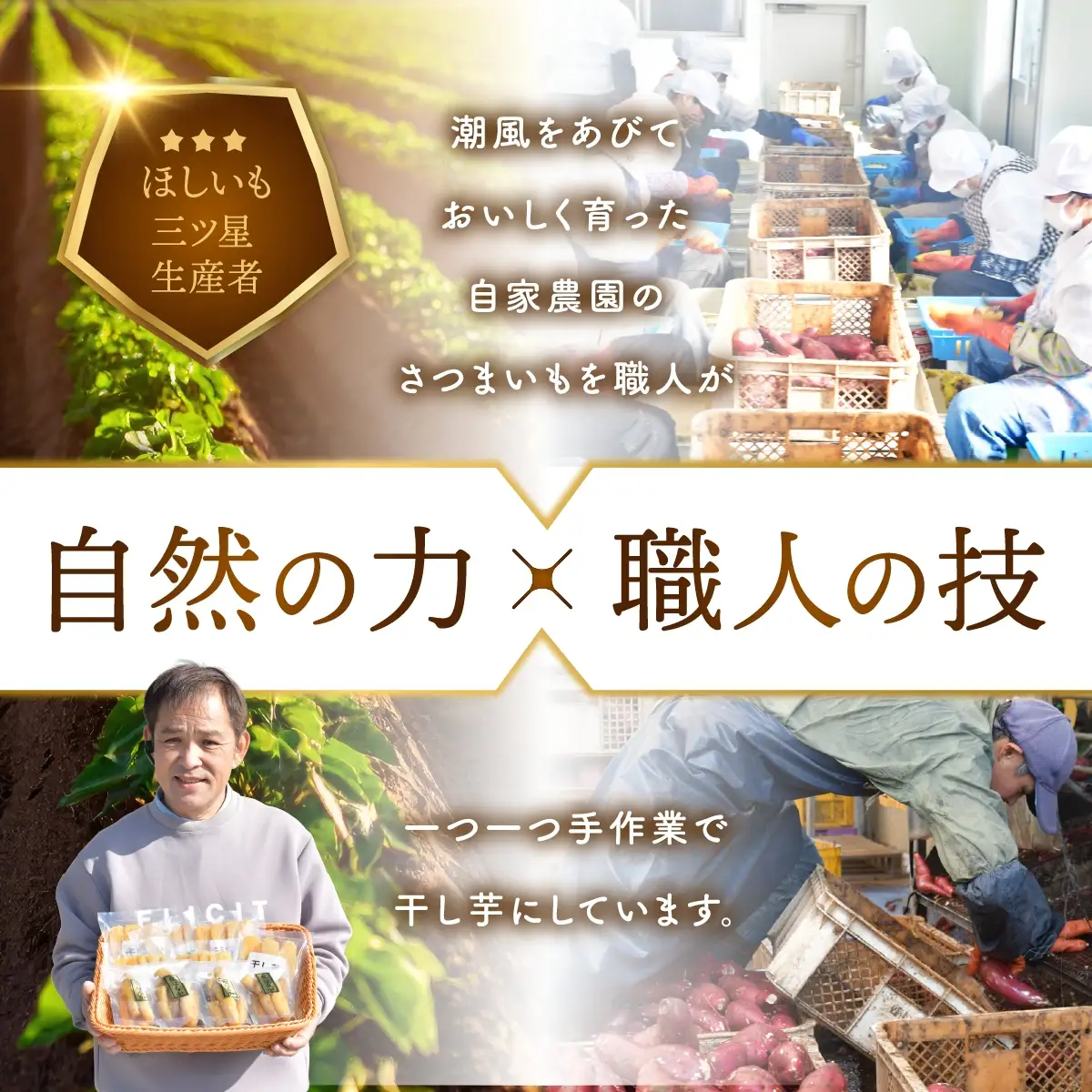 干し芋 紅はるか 1箱 1.9kg 2027年3月発送 | ほしいも 平干し 干しいも