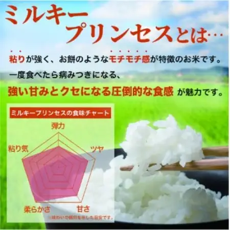 【令和8年産】ミルキープリンセス 10kg【1778366】