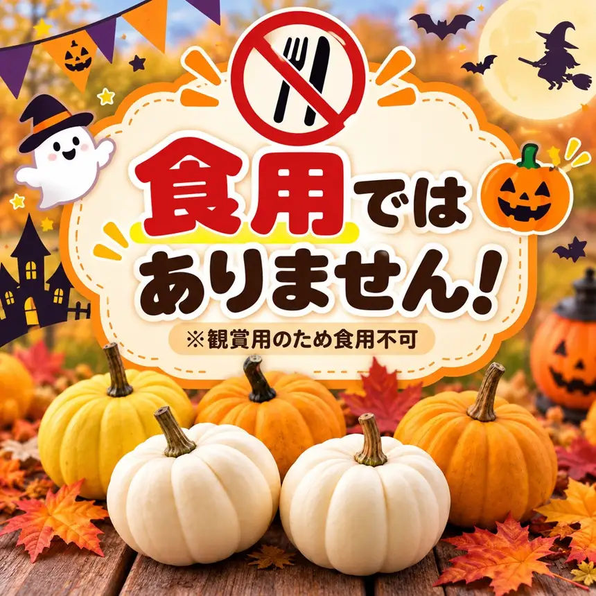 【訳あり】 ハロウィンカボチャ ミニ 5個セット | 八ヶ岳農業大学校