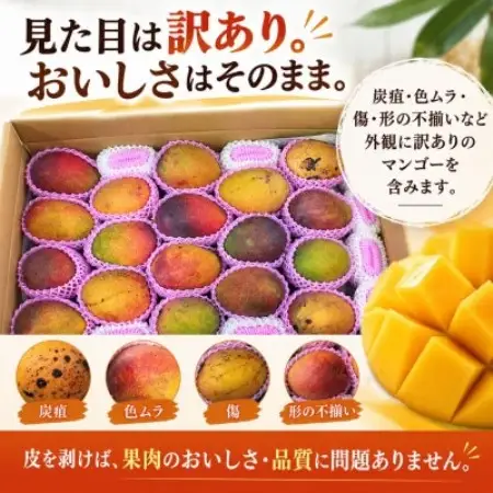 【2027年6月下旬から順次発送】マルトウマンゴーの訳ありアップルマンゴー2kg【配送不可地域：離島】【1781225】