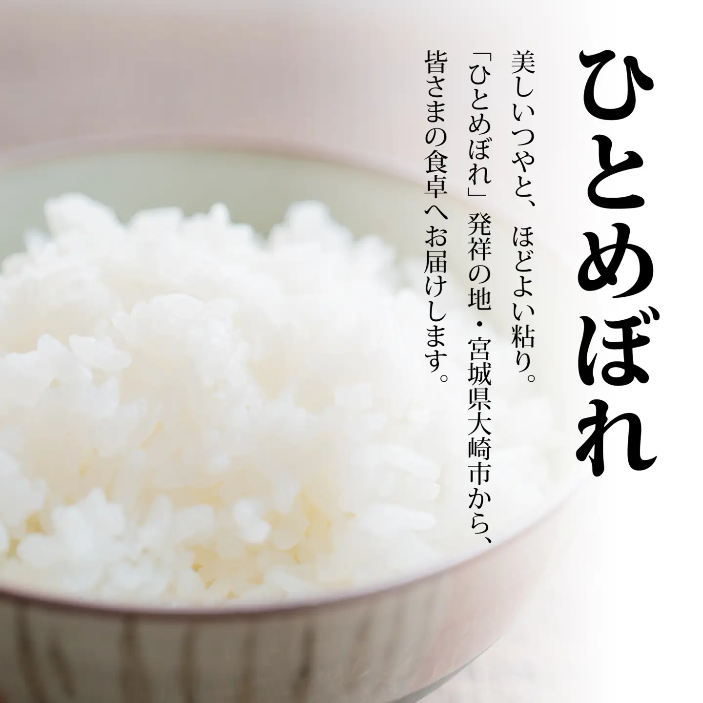 【定期2回】《精米》令和8年宮城県大崎市産 ひとめぼれ 5kg*2回 | tm-htm-5kg-r8-t2