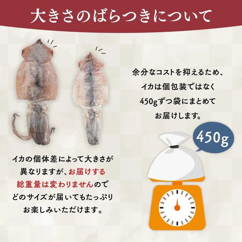 いか 一夜干し 450g いか