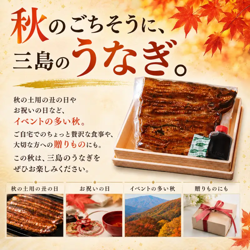 【秋うなぎ】 国産 うなぎの蒲焼き 1尾 すみの坊