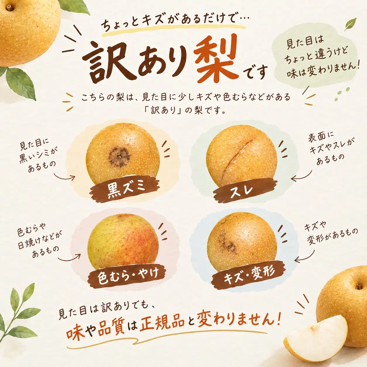 【訳あり】新高梨 約5kg 09月下旬発送  梨 家庭用