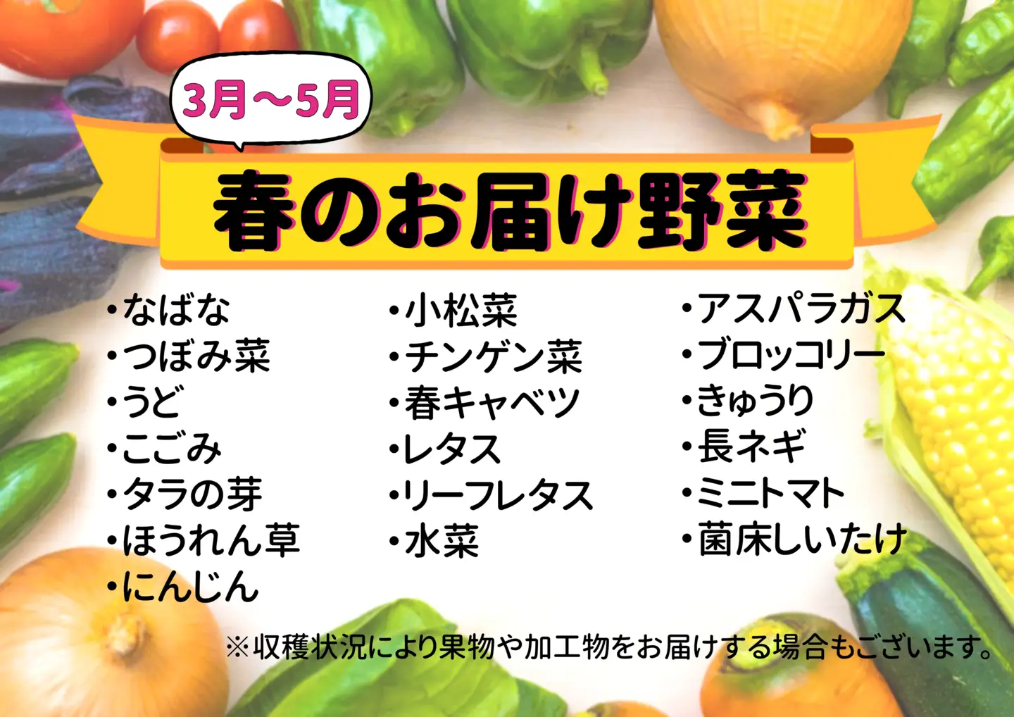 七宗町から発送　新鮮野菜詰めあわせセット(季節の野菜7～8種類) 七宗町ふるさと開発