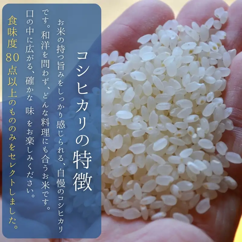 【3ヵ月定期便】八ヶ岳たすき米 コシヒカリ 5kg×2袋 [h183]