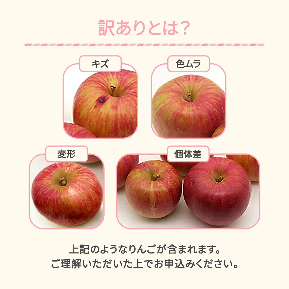 先行予約 訳あり りんご サンふじ 約5kg 令和8年産 sb-risfw5