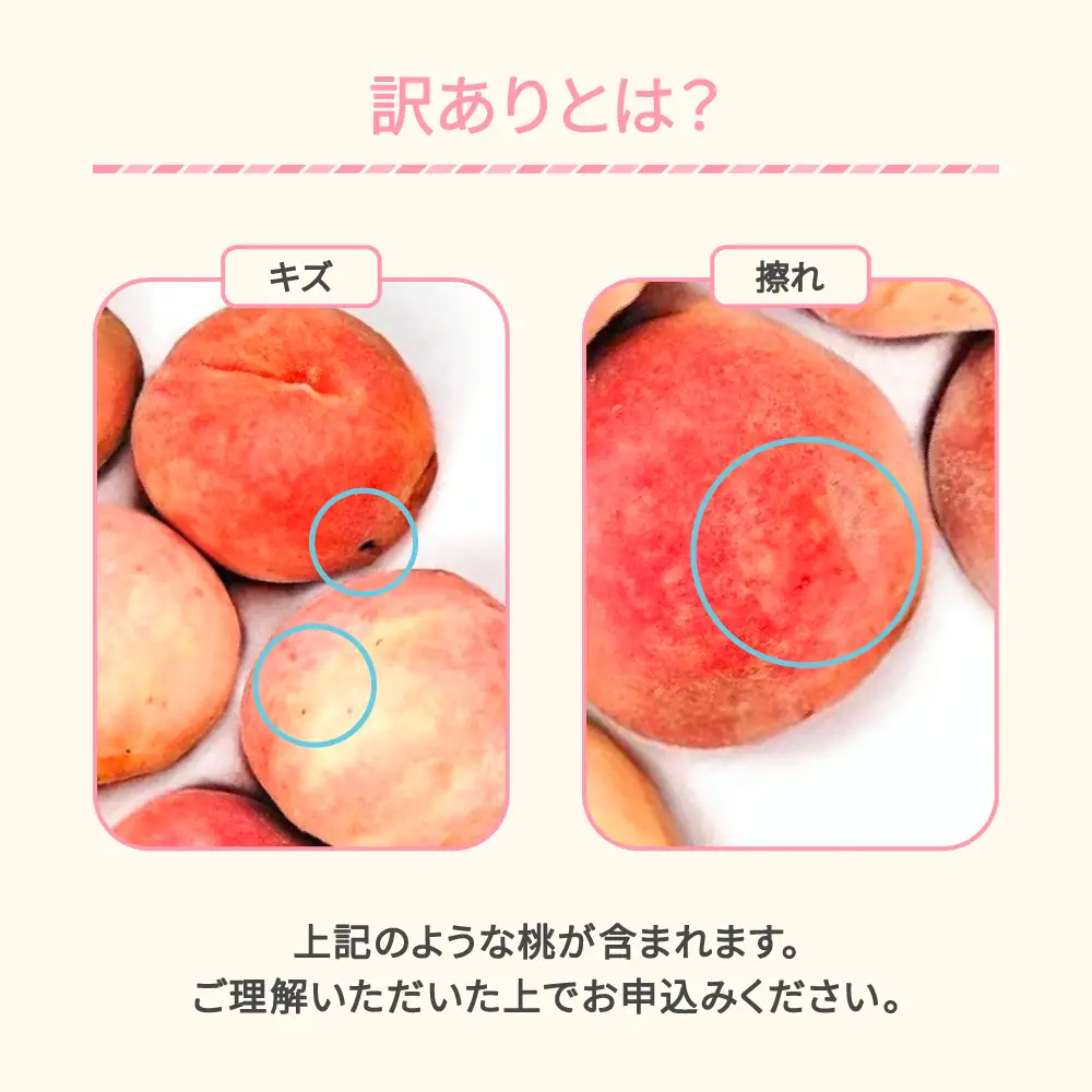 先行予約 訳あり 白桃  品種おまかせ 約5kg 令和9年産 sb-mohtw5