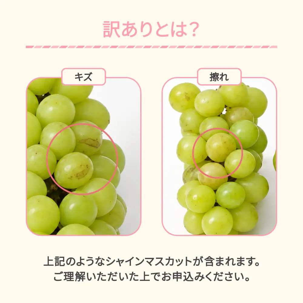 先行予約 訳あり シャインマスカット 約2kg 令和9年産 sb-busmw2000