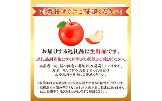 【先行予約：2026年10月上旬より発送】りんご（ひめかみ）2kg【北海道余市町産】_Y103-0097