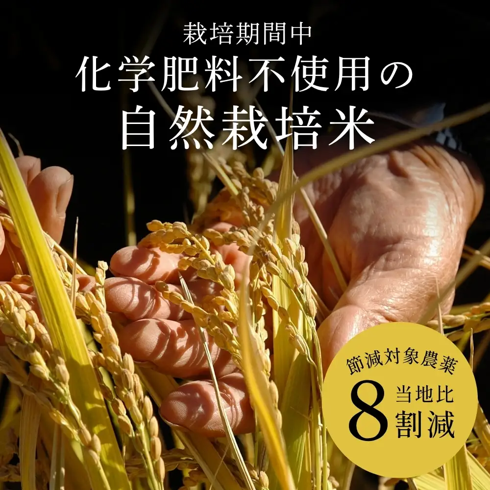 〈スピード発送〉新米 丹波コシヒカリ〈低農薬 80%減〉特別栽培米 5kg コシヒカリ