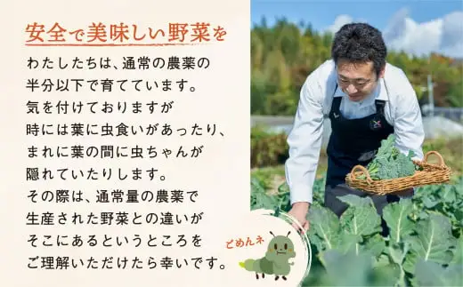 農家のおすそわけ（訳アリ）野菜便（お試し）【 農家 野菜詰め合わせ 野菜 詰め合わせ セット 訳あり 】 RT3405