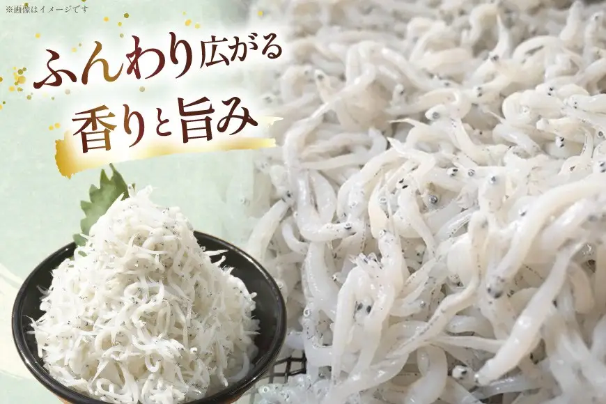 静岡県産 駿河湾 しらす 桜えび 極上品4種豪華セット（釜揚げしらす 釜揚げ桜えび 生しらす 生しらす沖漬け）計950g