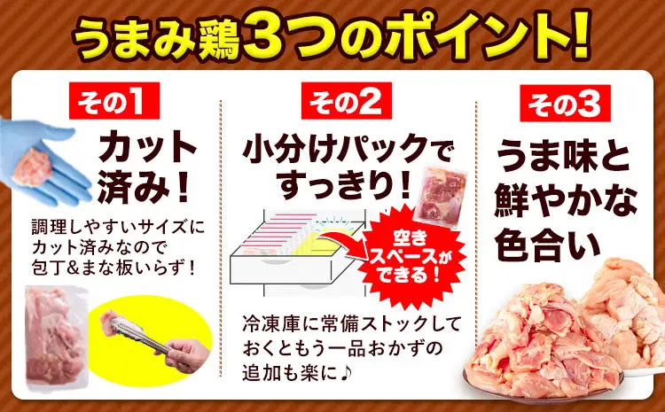 鶏肉 もも肉 9.3kg カット済 小分け 熊本 | 鶏肉