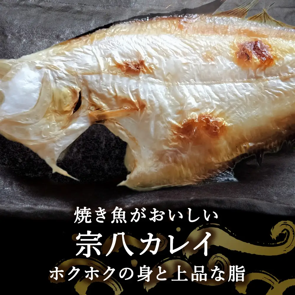 【定期便4カ月】宗八かれい一夜干 特大2枚入×5袋【配送不可地域：離島・沖縄県】