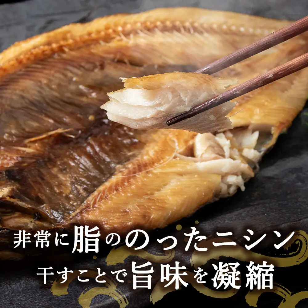 【定期便5カ月】にしん開き 2枚入 ×10袋【配送不可地域：離島・沖縄県】