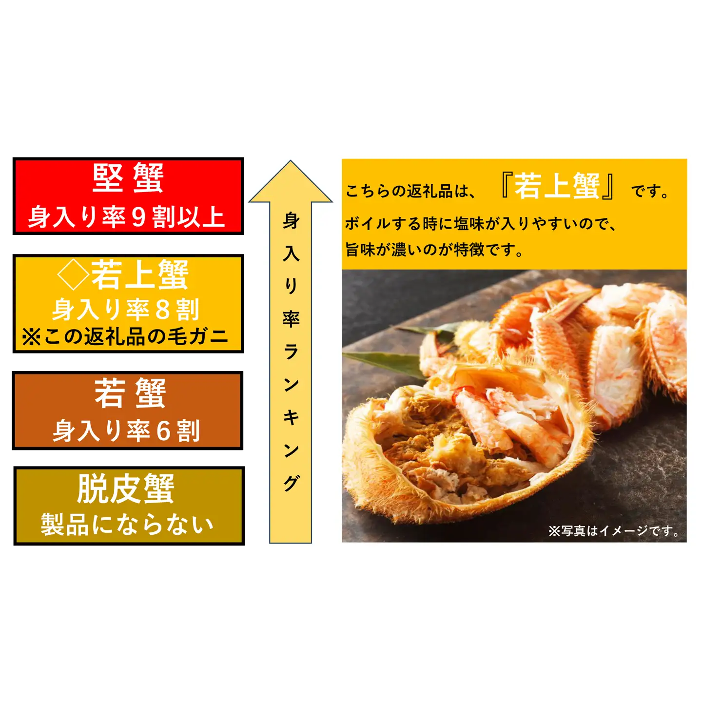 根室海鮮市場＜直送＞ボイル毛がに700～900g×1尾(若上蟹) B-28130