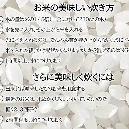 【先行受付】令和8年産 ななつぼし2kg(2kg袋×1袋)北海道  特A 精米 米 白米 ご飯 お米 ごはん 国産 ブランド米 おにぎり ふっくら 常温 お取り寄せ 産地直送 農家直送 送料無料 月形
