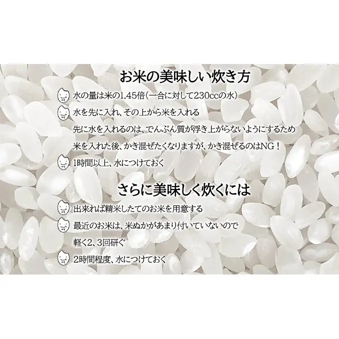 【先行受付】令和8年産 ななつぼし10kg(10kg袋×1個)北海道  特A 精米 米 白米 ご飯 お米 ごはん 国産 ブランド米 おにぎり ふっくら 常温 お取り寄せ 産地直送 農家直送 送料無料 月形
