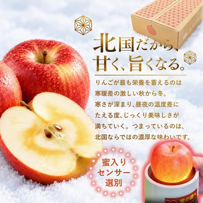 ≪先行予約≫ 【訳あり】 葉とらずサンふじ 中～大玉 約3kg (8～11玉) 【アップルアーク】 F41-0004