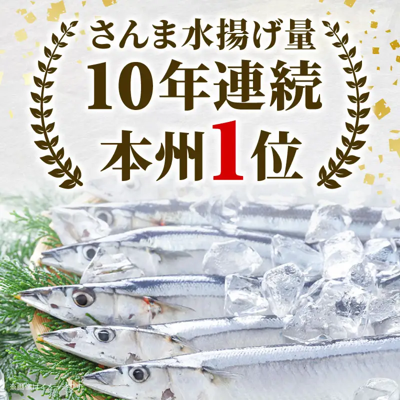 訳あり 生さんま 約2kg [発送 9月中旬～11月末] 冷蔵