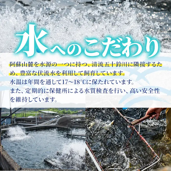 冷凍鮎(約1kg・10～14匹) 鮎 冷凍 小分け 国産 門川町産 宮崎県産 塩焼き あゆ 魚 魚介 川魚 養殖 香魚 甘露煮 【ME-04】【米良水産】