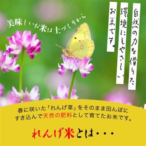 令和8年産 新米】小浦れんげ米(にじのきらめき) 無洗米 2kg【1779278