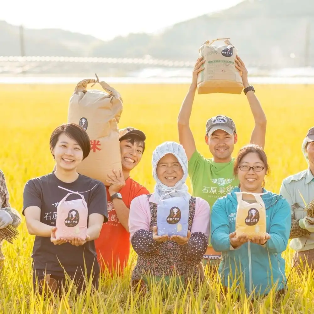 令和8年産 新米 先行予約 備前乙女米 白米5kg×1袋 岡山県産 【ishk049-01】