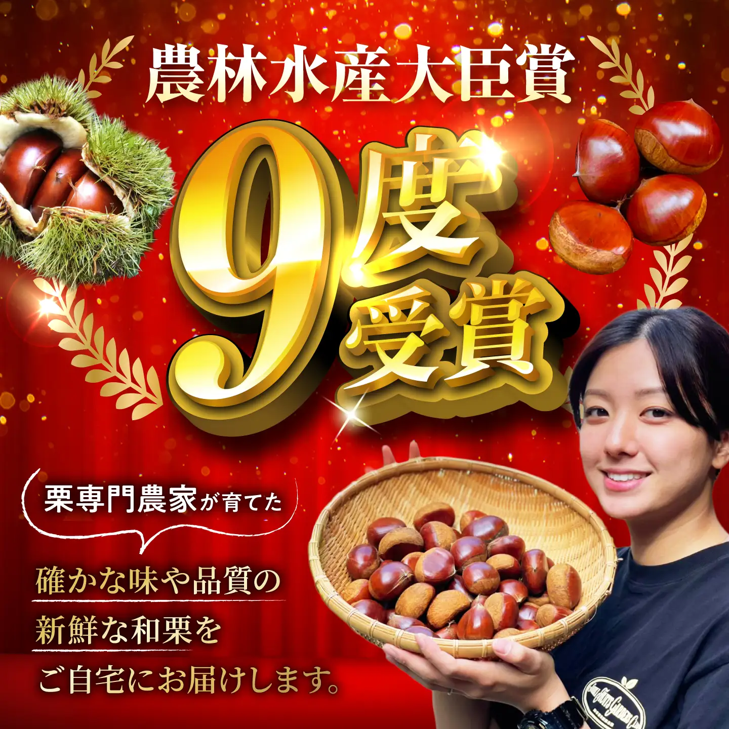 銀寄栗【先行予約】 特大3L 1kg 約30粒 栗 BKCC001