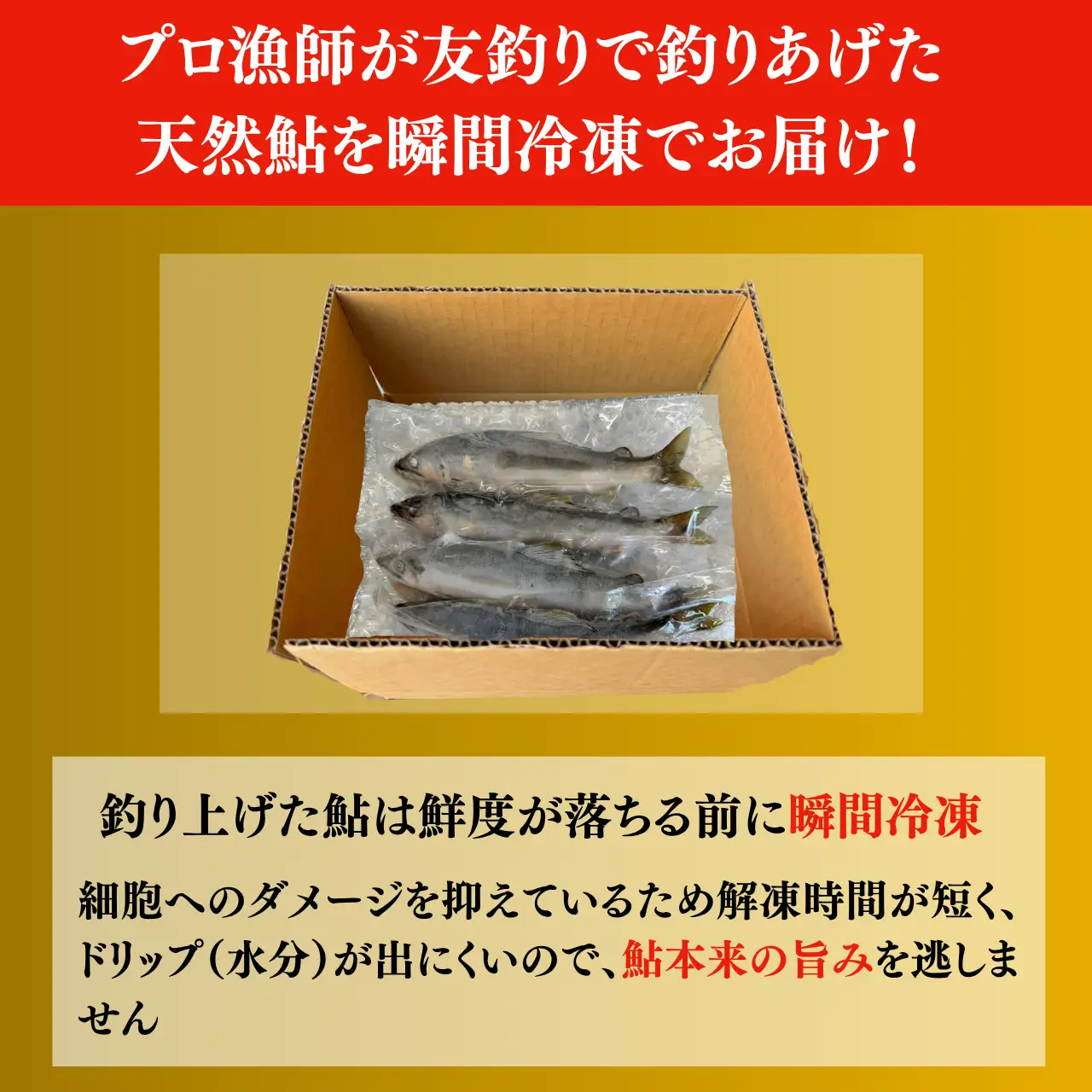 鮎 勝山市 九頭竜川産天然鮎 300g 