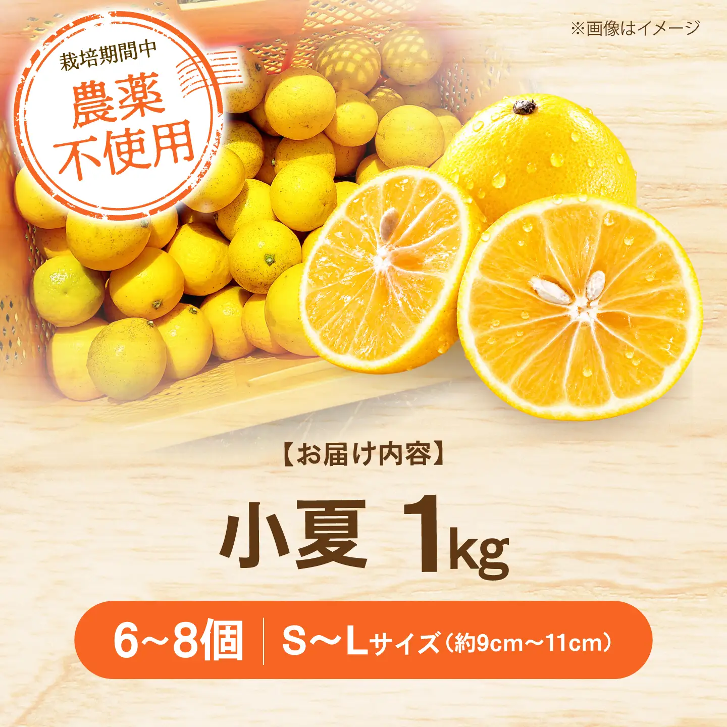 【先行予約】自然栽培小夏 1kg 〈2027年4月1日?6月30日発送〉/ 柑橘 自然 土佐市 【有限会社四万十くじら】[BQBR013]