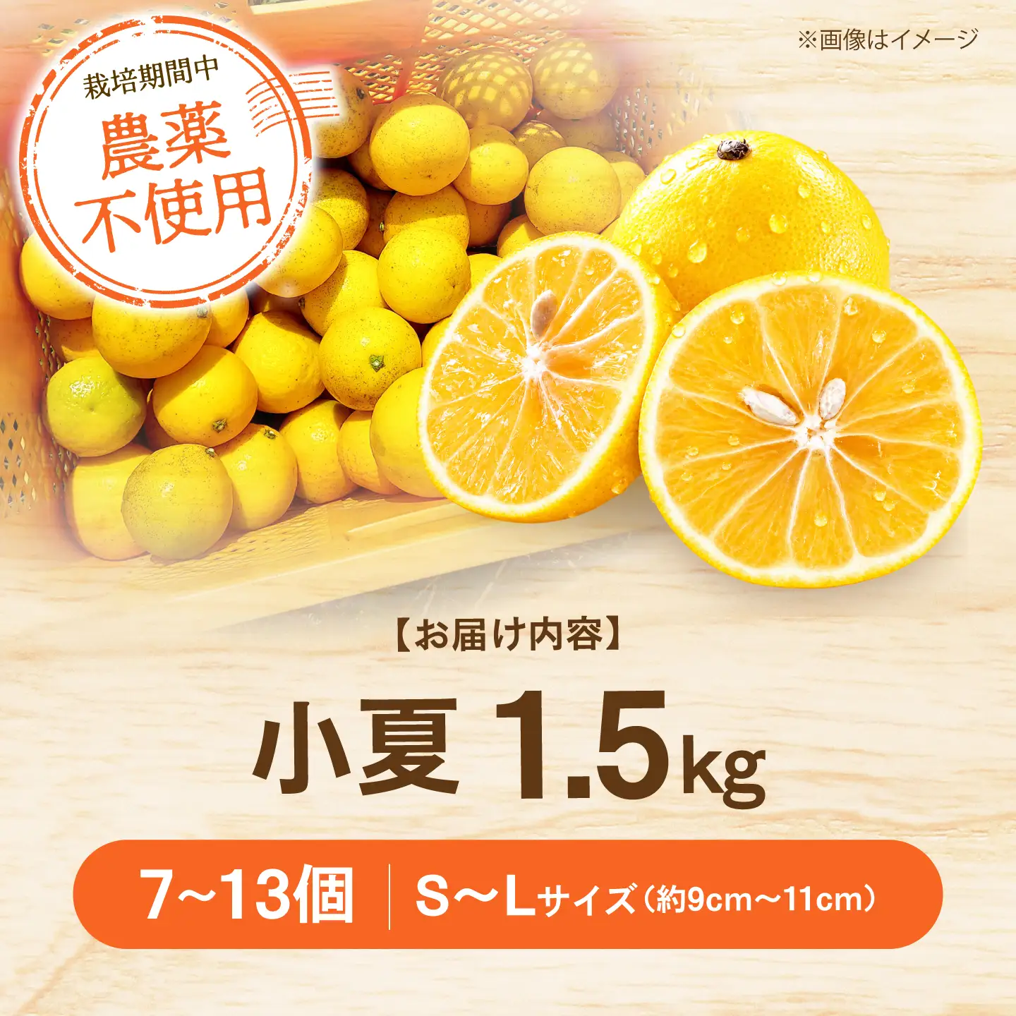 【先行予約】自然栽培小夏 1.5kg〈2027年4月1日?6月30日発送〉 / 柑橘 自然 土佐市 【有限会社四万十くじら】[BQBR014]