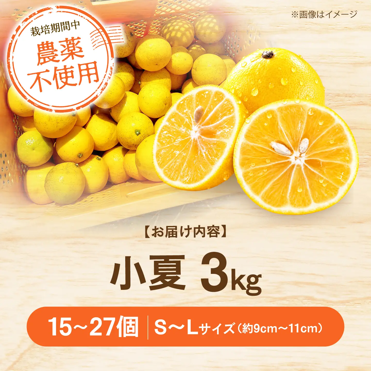 【先行予約】自然栽培小夏 3kg〈2027年4月1日?6月30日発送〉 / 柑橘 自然 土佐市 【有限会社四万十くじら】[BQBR016]