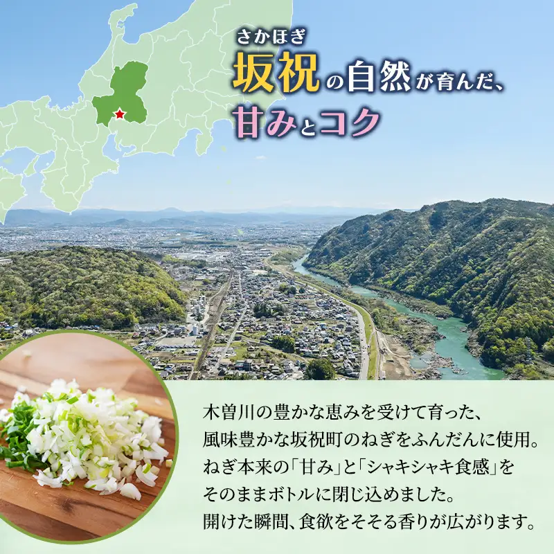 ねぎ塩ドレッシング（10本） ネギ 葱 サラダ タレ たれ 付けダレ 付けだれ ほぎもん 自宅用 手土産 贈り物 岐阜県 坂祝町 さかほぎ F6M-404