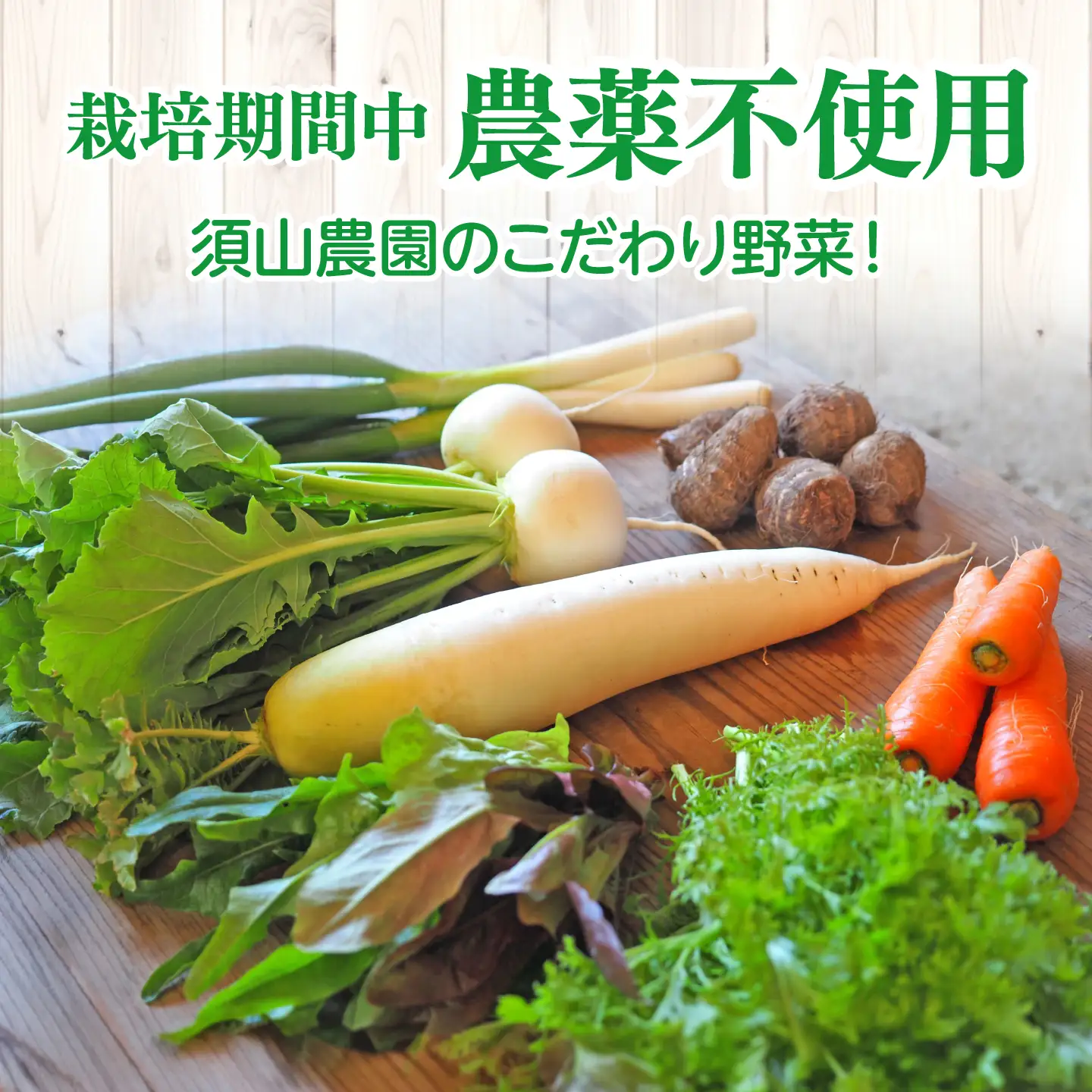 【4回】野菜定期便 8品目 野菜セット[ALBD011]