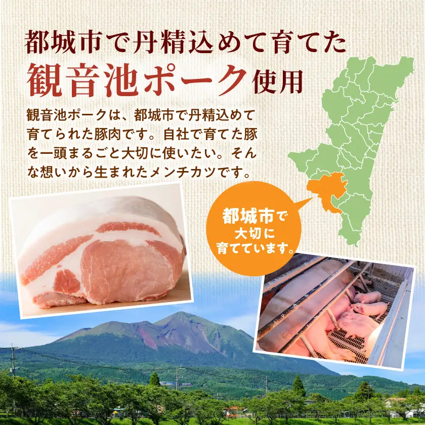 「観音池ポーク」揚げメンチカツ15個〔72-001〕_(都城市)