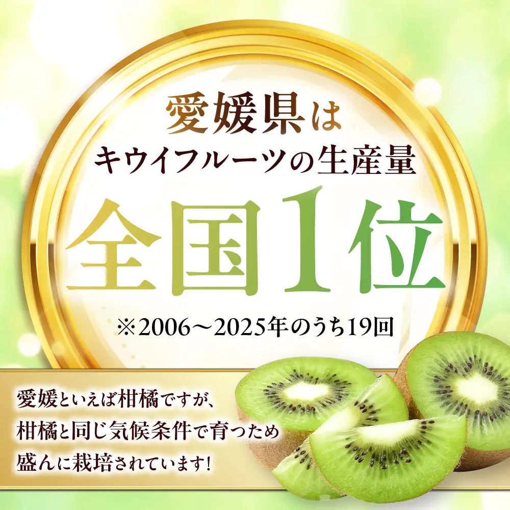 キウイ キウイフルーツ 10個-12個入り（L-3L）[AGBD009]