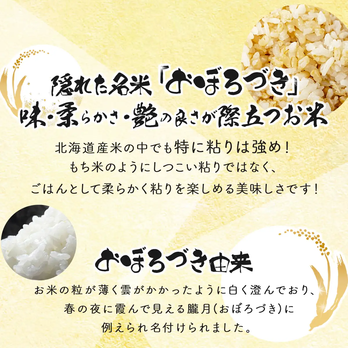 ＜令和8年産＞『100%自家生産玄米』善生さんの自慢の米 玄米おぼろづき 10kg｜北海道 岩見沢市 お米 新米【a104-120】