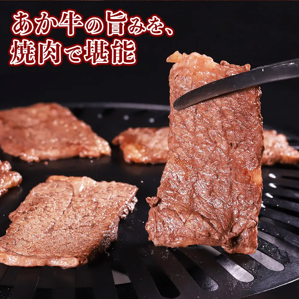 【定期便6回】熊本和牛 あか牛 焼肉用 カット バラ ロース 500g (250g×2パック)×6回配送 