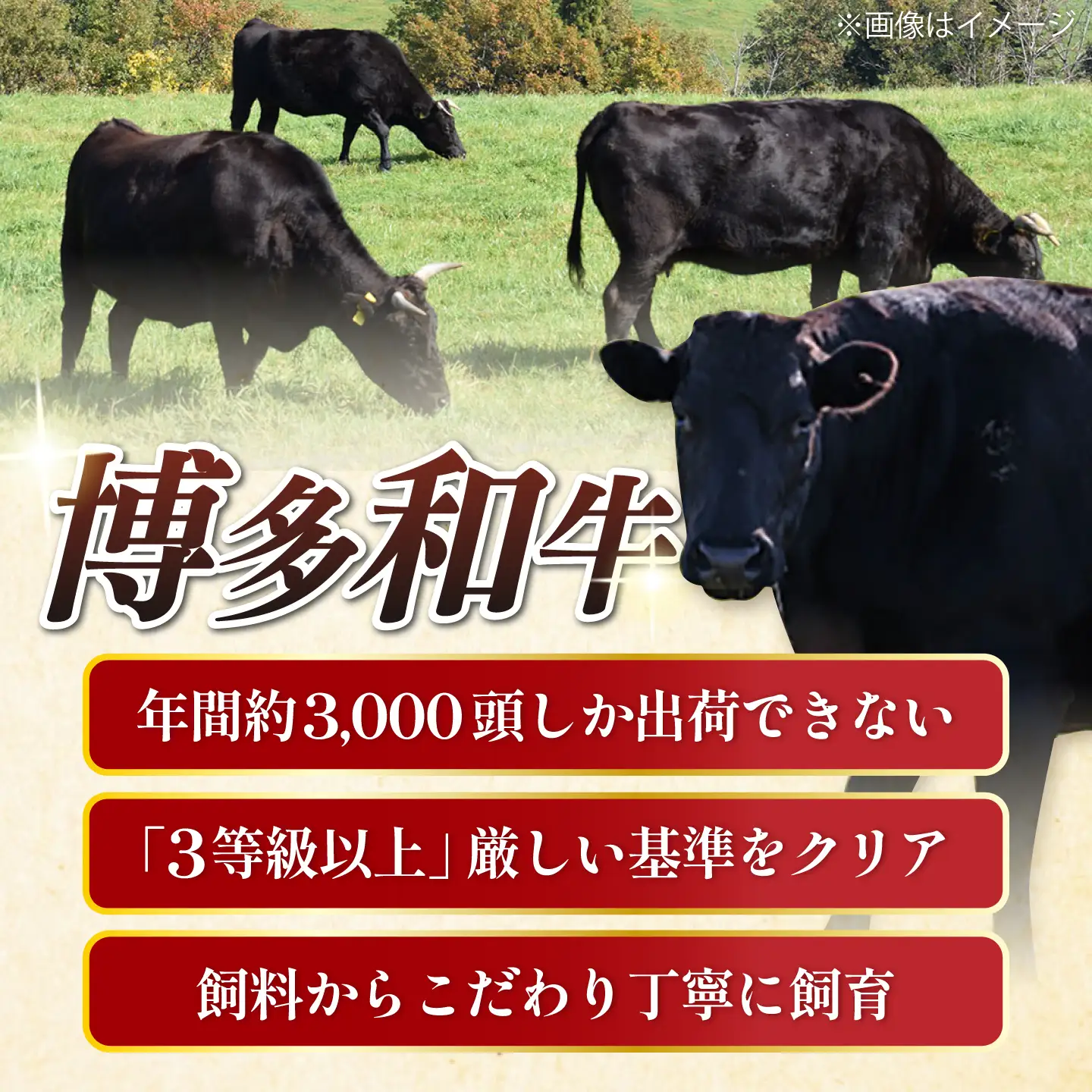 【スピード発送】博多和牛 A5，4等級 上ロース焼肉 400g《築上町》【久田精肉店】 焼肉 ロース 国産 人気 おすすめ[ABCL182]