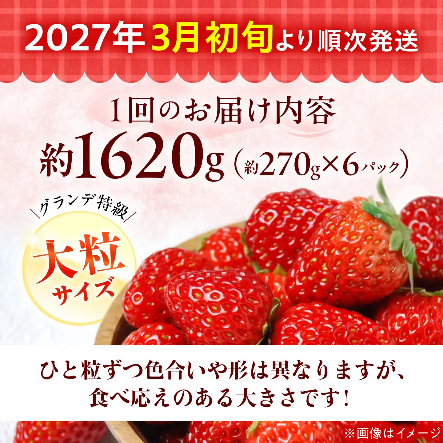 【全2回定期便】あまおう いちご 1620g（約270g×6パック）【2027年3月初旬より順次発送】《築上町》【株式会社HSP-テクノ】いちご 苺 グランデ等級 果物 イチゴ[ABFG004]