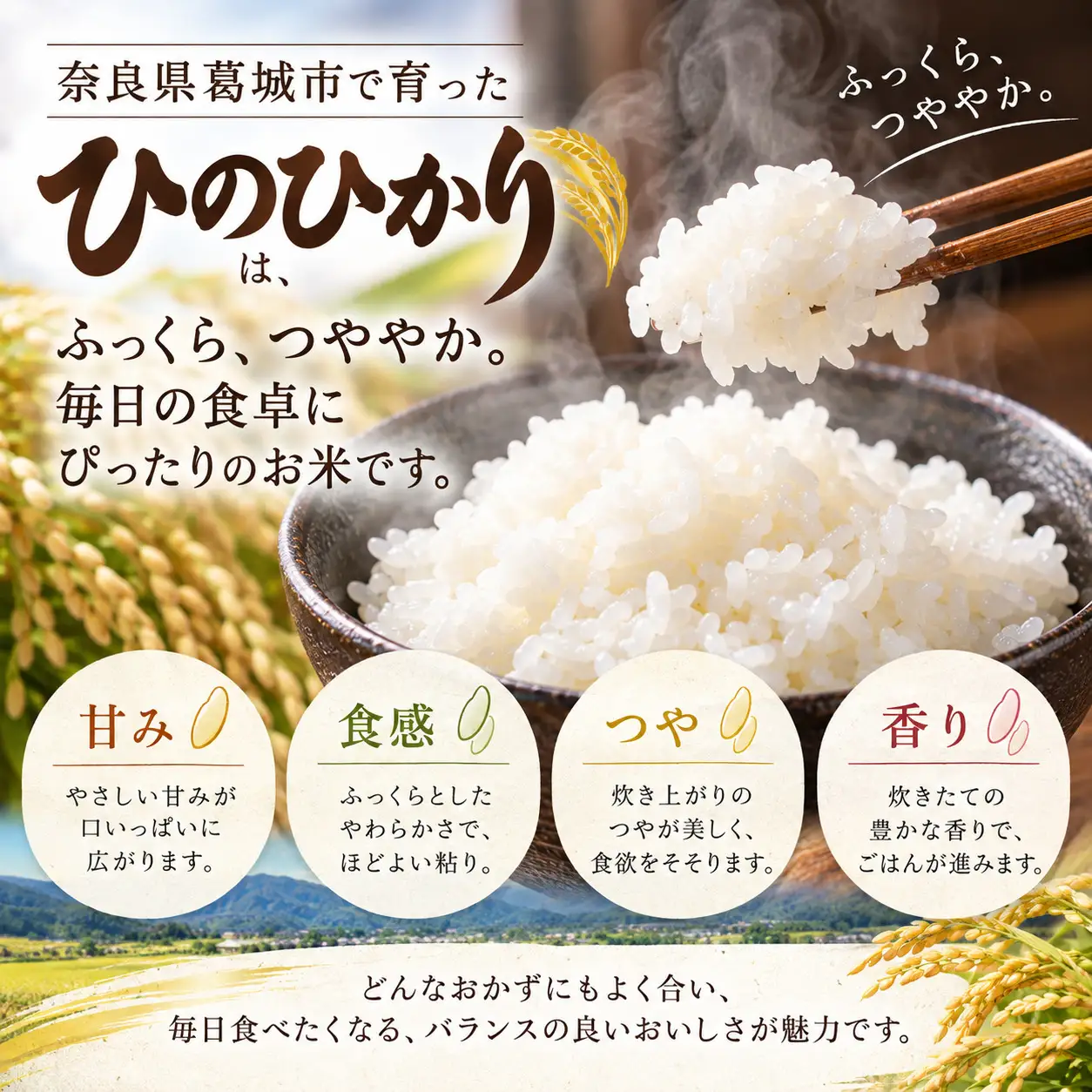 新米 令和8年産 ひのひかり 白米 計10kg(5kg×2袋)  B-フレスコ葛城 【bfrk003】